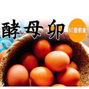 ふるさと納税 東金市 酵母卵 80個の商品画像