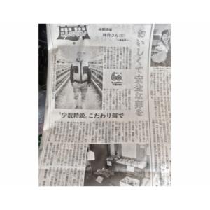ふるさと納税 東金市 酵母卵 80個の詳細画像2