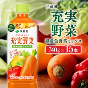 ふるさと納税 川南町 伊藤園『充実野菜ー緑黄色野菜ミックスー』740g×15本(ペットボトル)