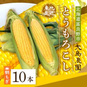 ふるさと納税 富良野市 【先行予約】朝もぎとうも...の商品画像