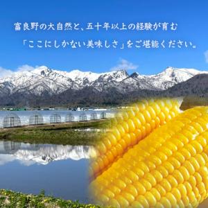 ふるさと納税 富良野市 【先行予約】朝もぎとう...の詳細画像3