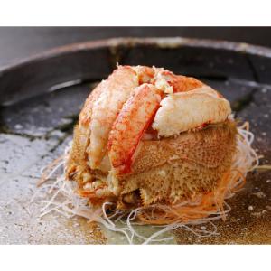 ふるさと納税 白老町 【浜ゆで】北海道産毛ガニ甲羅盛り2個(220g前後2個)