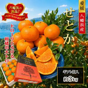 ふるさと納税 八幡浜市 2027年2月〜順次発送　柑橘の大トロ「せとか」約3kg  【D39-6】