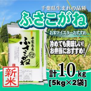 ふるさと納税 大網白里市 【新米 令和8年産】千葉県産「ふさこがね」精米 10kg(5kg×2袋)