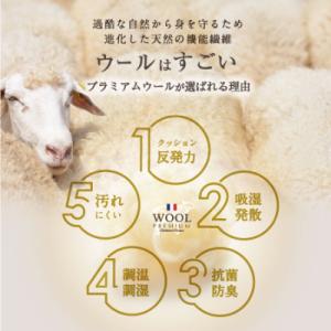 ふるさと納税 柳川市 羊毛100% 敷布団 シ...の詳細画像1
