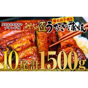 ふるさと納税 鹿屋市 【九州産】備長炭手焼 鯉家...の商品画像