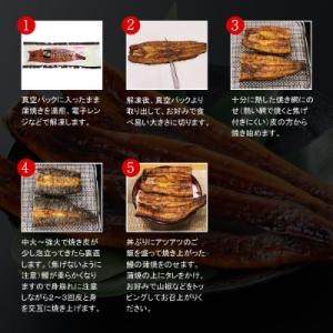 ふるさと納税 鹿屋市 【九州産】備長炭手焼 鯉...の詳細画像2