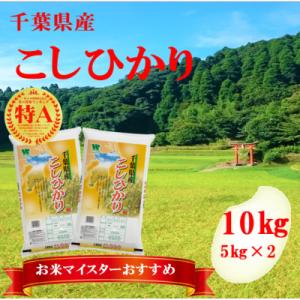 ふるさと納税 大網白里市 【新米 令和7年産】【特A評価】千葉県産「コシヒカリ」精米 10kg(5kg×2袋)｜Yahoo!ふるさと納税