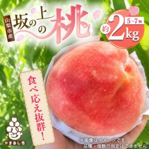 ふるさと納税 山梨市 2026年発送【旬の桃 約2kg 5〜7玉】 坂の上の桃 硬くて甘い! 食べ応...