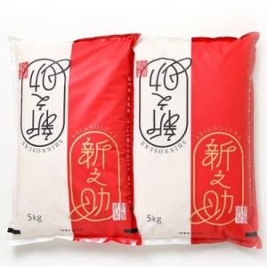 ふるさと納税 糸魚川市 令和8年産 新之助5kg×2袋　精米