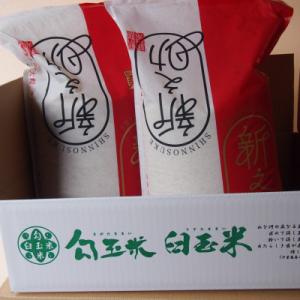 ふるさと納税 糸魚川市 令和8年産 新之助5k...の詳細画像3