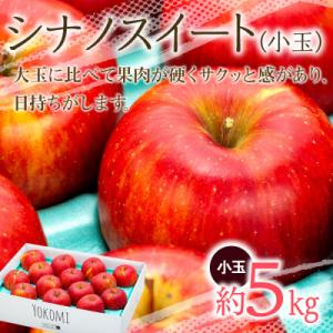 ふるさと納税 箕輪町 2025年!信州のりんご【シナノスイート】小玉 約5kg 厳選!小玉食べきりサ...