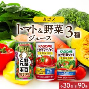 ふるさと納税 那須塩原市 カゴメ 野菜一日これ一...の商品画像