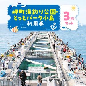 ふるさと納税 岬町 岬町海釣り公園・とっとパーク小島利用券【大人用3枚セット】
