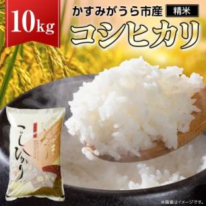 ふるさと納税 かすみがうら市 令和7年産かすみがうら市産コシヒカリ  精米  10kg