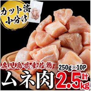 ふるさと納税 志布志市 鹿児島県産若鶏ムネ切身　2.5kg(250g×10P)