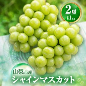 ふるさと納税 山梨市 【2026年発送 先行受付】農福連携 シャインマスカット2房(合計1kg程度)