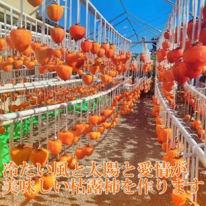 ふるさと納税 山梨市 【農福連携】おひさまたっ...の詳細画像3