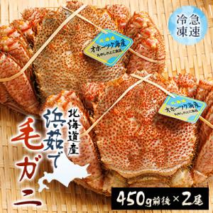 ふるさと納税 斜里町 北海道産　浜茹で毛ガニ　450g前後×2尾