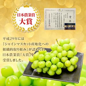 ふるさと納税 中野市 【2026年発送】シャイ...の詳細画像1