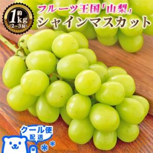 ふるさと納税 山梨市 2026年発送 山梨県産 シャインマスカット 約1kg(2〜3房) 山梨が誇る...