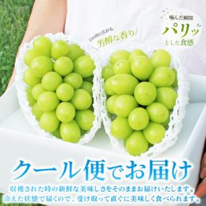 ふるさと納税 山梨市 2026年発送 山梨県産...の詳細画像1