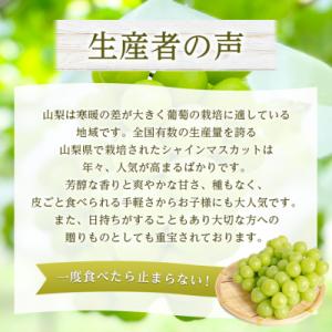 ふるさと納税 山梨市 2026年発送 山梨県産...の詳細画像2