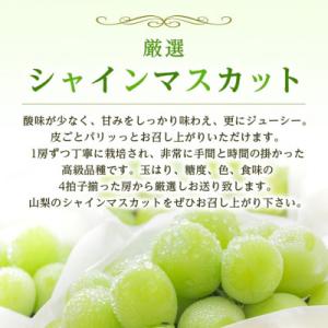 ふるさと納税 山梨市 2026年発送 山梨県産...の詳細画像3