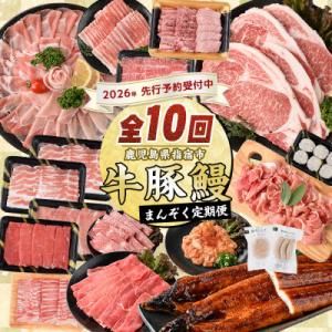 ふるさと納税 指宿市 定期便 10回 鹿児島自慢の豚・牛・うなぎ 満足 コース Z100-528 肉...