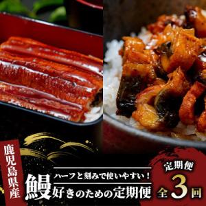 ふるさと納税 指宿市 【全3回定期便】鰻好きのための定期便(IBZ020-003)