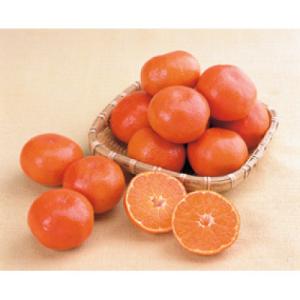 ふるさと納税 琴平町 【先行予約2027年1月〜2027年2月頃お届け】 越冬小原紅早生みかん(小玉サイズ) 約2kg｜Yahoo!ふるさと納税