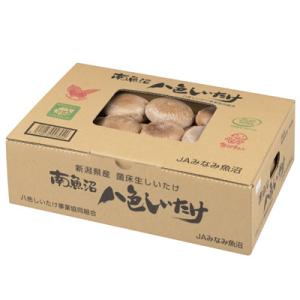 ふるさと納税 南魚沼市 厚いにもほどがある「八...の詳細画像1