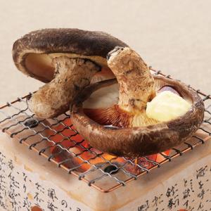 ふるさと納税 南魚沼市 厚いにもほどがある「八...の詳細画像2