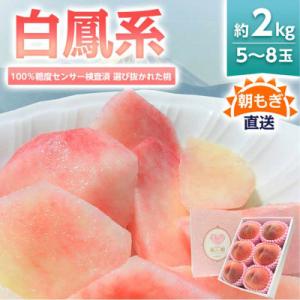 ふるさと納税 山梨市 《2026年発送》桃 『白鳳系』 約2kg 5〜8玉 朝もぎ直送! 選び抜かれた桃