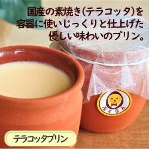 ふるさと納税 南足柄市 テラコッタプリン〔6個入〕