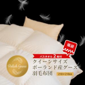 ふるさと納税 泉佐野市 【福袋】羽毛布団 1枚 ポーランド産グース クイーン アイボリー/バスタオル...