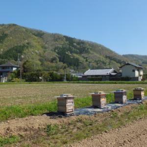 ふるさと納税 能勢町 【RAW HONEY】風...の詳細画像1