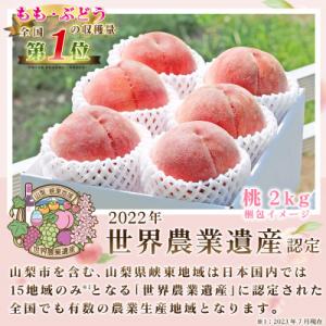 ふるさと納税 山梨市 2026年 先行受付【訳...の詳細画像2