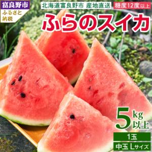 ふるさと納税 富良野市 2026年発送 ふらのスイカ 5kg以上 1玉