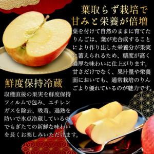 ふるさと納税 藤崎町 [先行予約]葉とらずサン...の詳細画像1