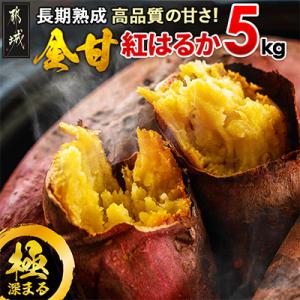 ふるさと納税 都城市 【先行受付】長期熟成さつまいも 紅はるか(生芋)5kg