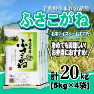 ふるさと納税 大網白里市 【令和7年産】千葉県産「ふさこがね」精米 20kg(5kg×4袋)
