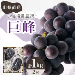 ふるさと納税 山梨市 【2026年先行受付】厳選　池田青果の巨峰　2房 　1キロ　ふるさと納税