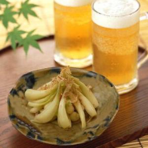 ふるさと納税 八重瀬町 島らっきょう塩漬け・キ...の詳細画像3