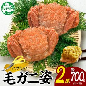 ふるさと納税 弟子屈町 【のし付】毛蟹 姿 2尾 計700g前後 ボイル 蟹ハサミ・ガイド付 北海道 弟子屈町 3334
