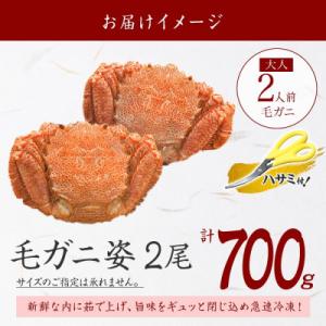 ふるさと納税 弟子屈町 【のし付】毛蟹 姿 2...の詳細画像3