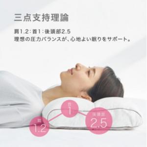 ふるさと納税 近江八幡市 【nishikawa...の詳細画像3