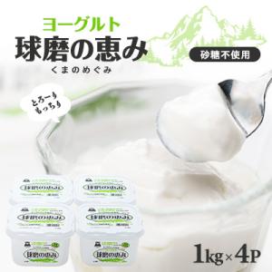 ふるさと納税 水上村 球磨の恵みヨーグルト(砂糖不使用)1kg入×4パック