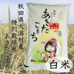 ふるさと納税 大潟村 令和7年産　特別栽培米あきたこまち　白米5kg