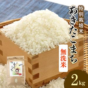 ふるさと納税 大潟村 令和7年産　特別栽培米あきたこまち　無洗米2kg